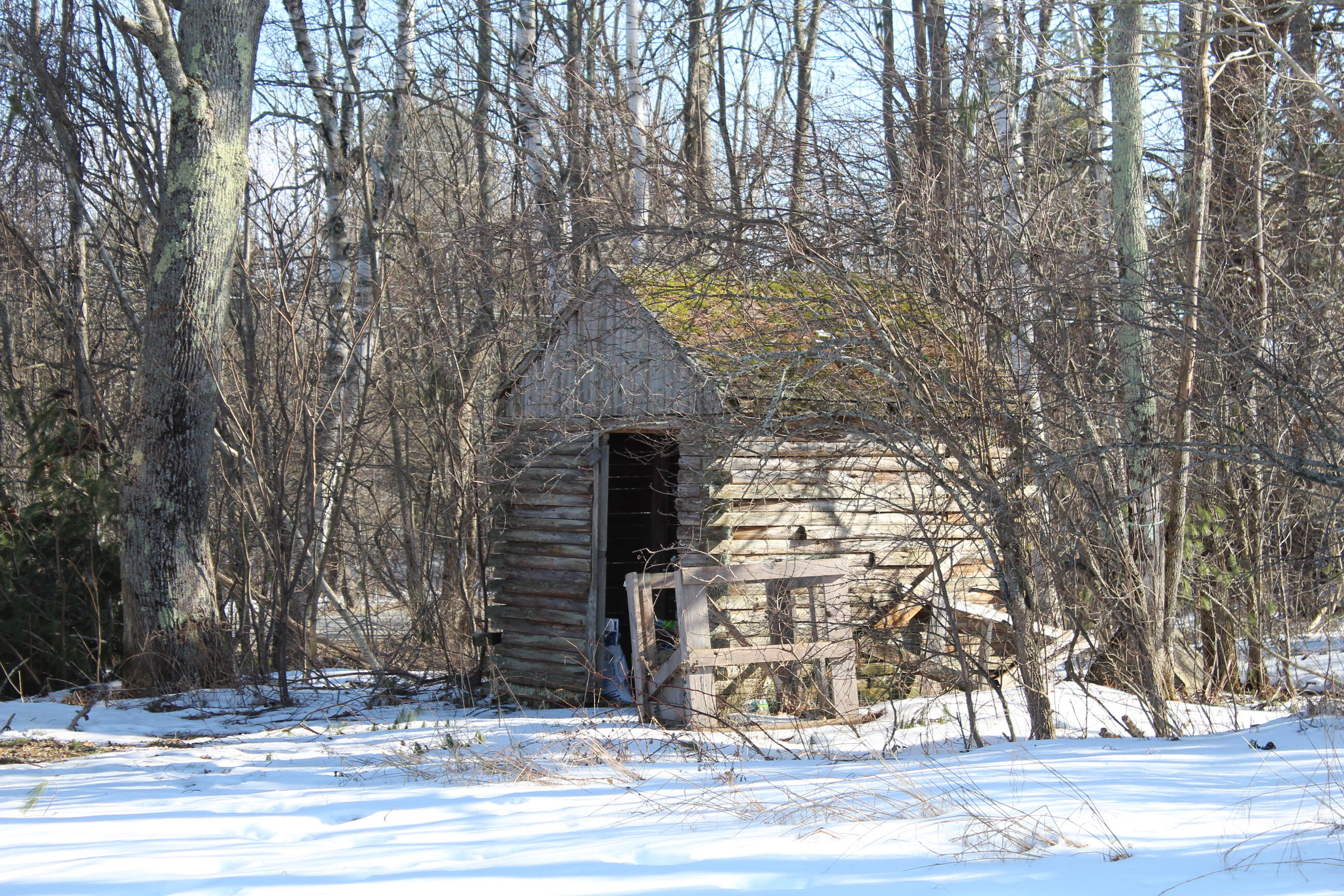175 Quaker Hill Road Unity, ME 04988 - Photo 7 of 33 Outdoor shed