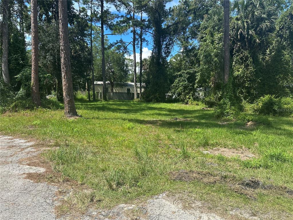 Lisa Street Astor, FL 32102 - Photo 1 of 1 a view of a park with large trees