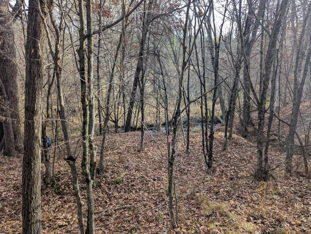 $760,000 | 1103 North Frank Smith Road, Luther, MI 49656