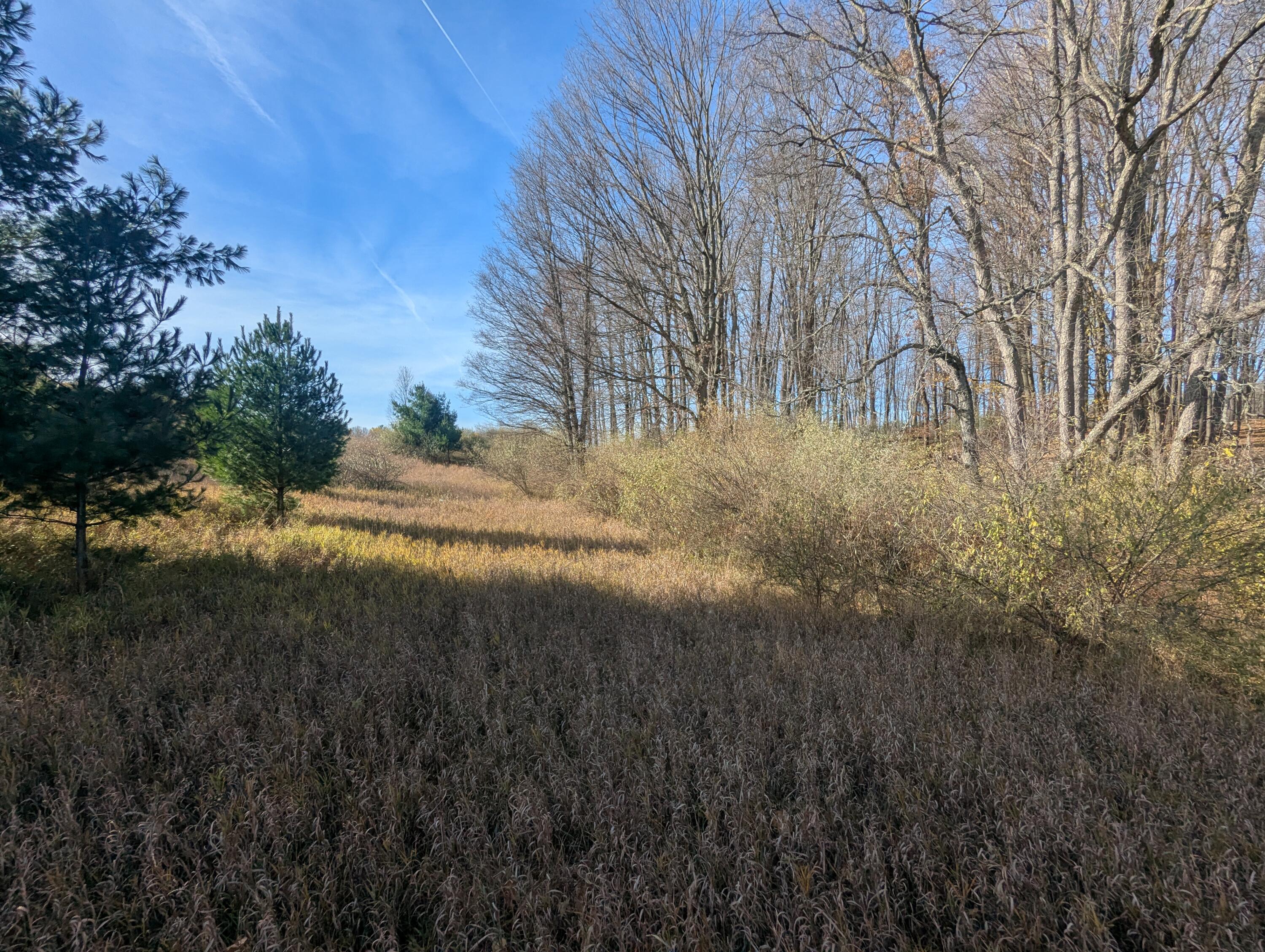 1103 North Frank Smith Road Luther, MI 49656 - Photo 12 of 19 PXL_20251106_183403295