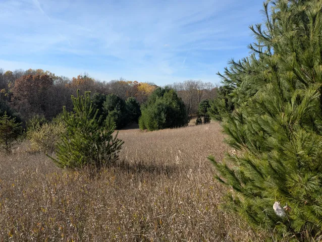 $760,000 | 1103 North Frank Smith Road, Luther, MI 49656