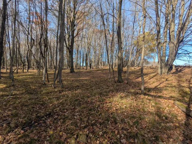 $760,000 | 1103 North Frank Smith Road, Luther, MI 49656