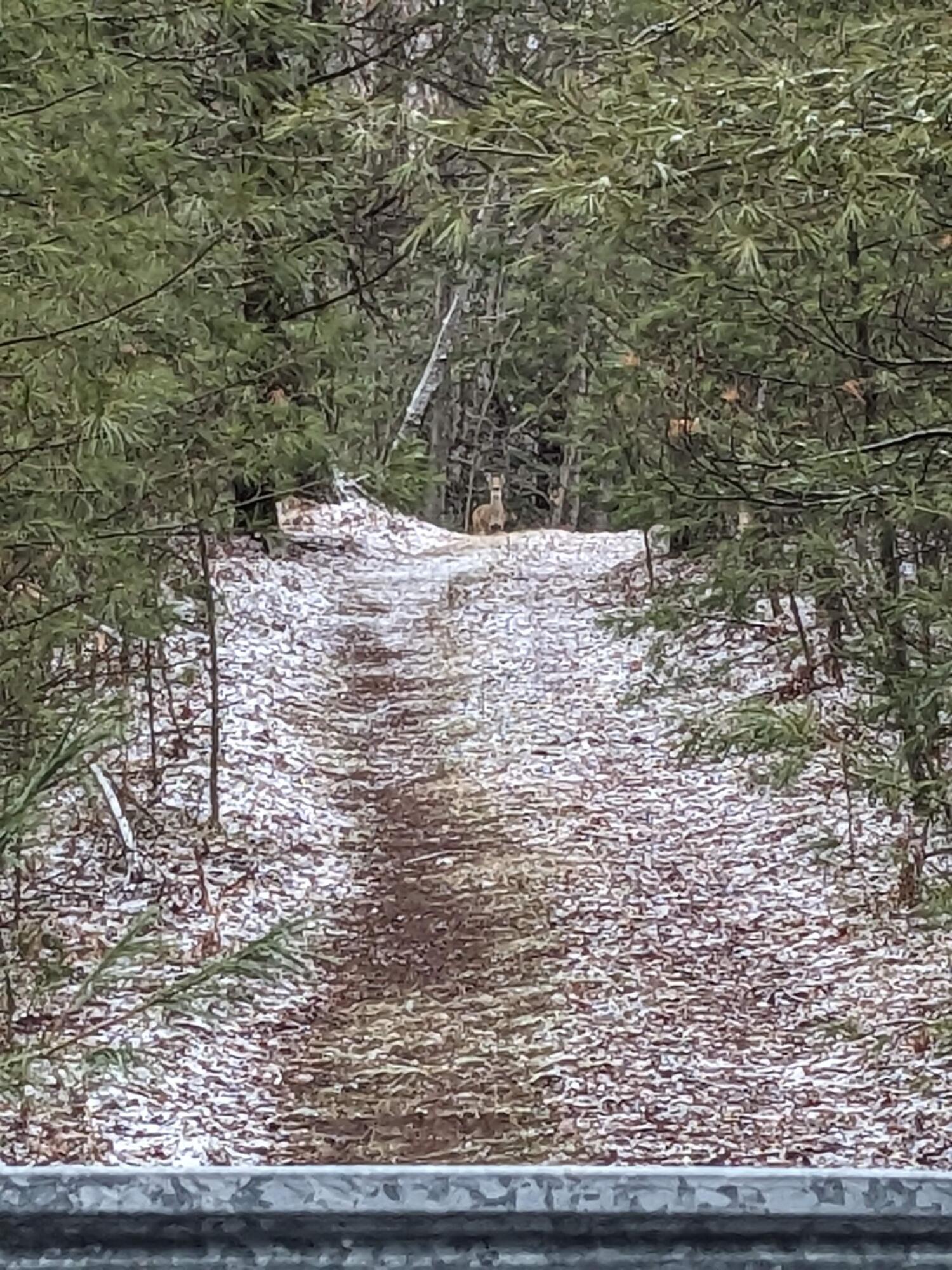 1103 North Frank Smith Road Luther, MI 49656 - Photo 18 of 19 PXL_20230120_184621748