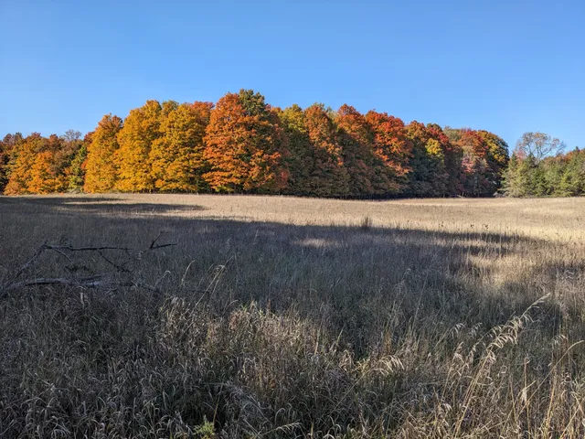 $760,000 | 1103 North Frank Smith Road, Luther, MI 49656