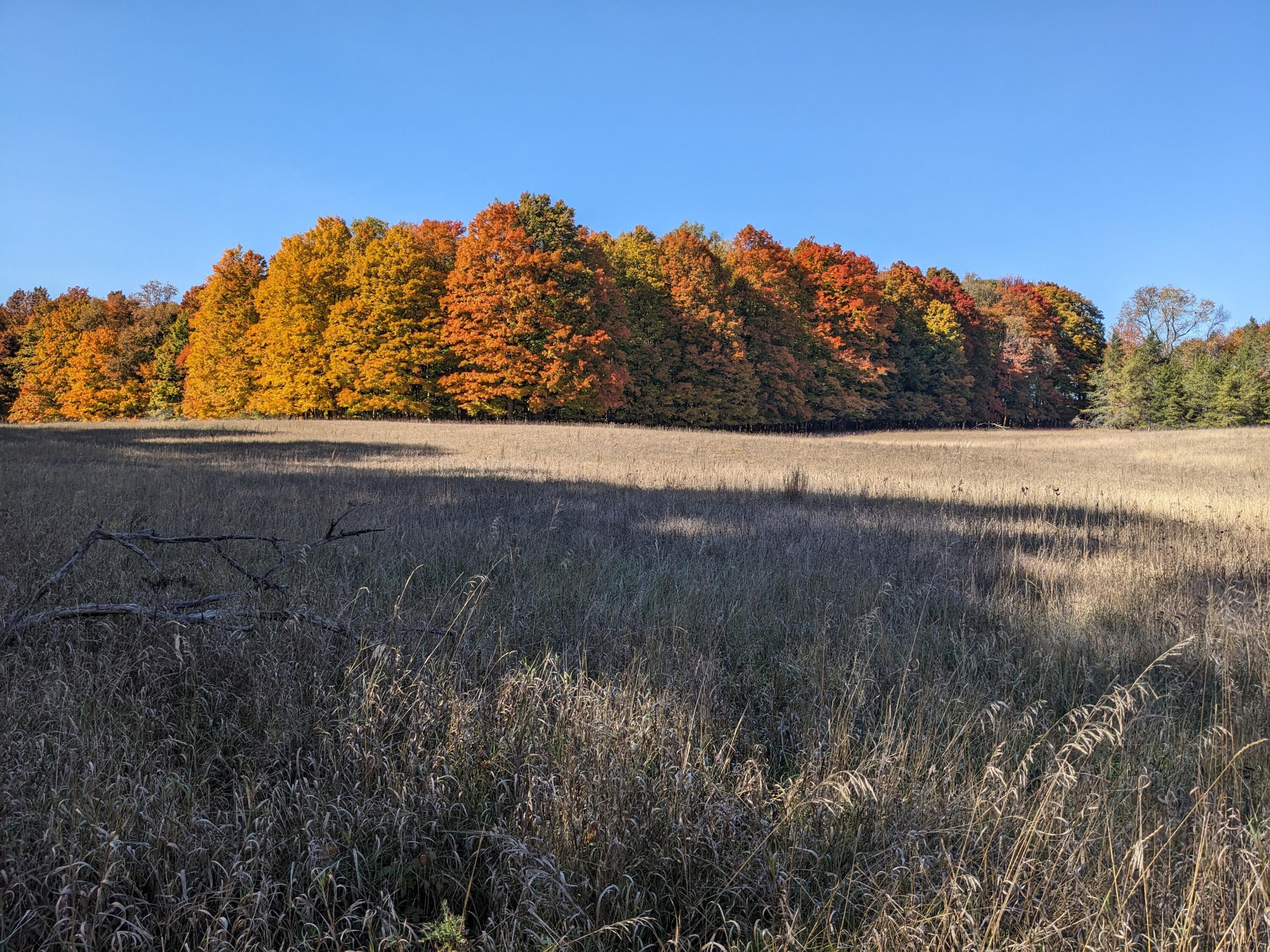 1103 North Frank Smith Road Luther, MI 49656 - Photo 2 of 19 PXL_20241017_181552940