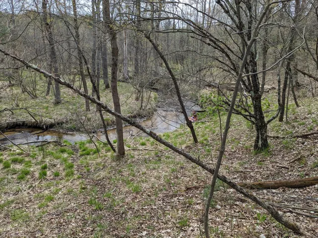 $760,000 | 1103 North Frank Smith Road, Luther, MI 49656