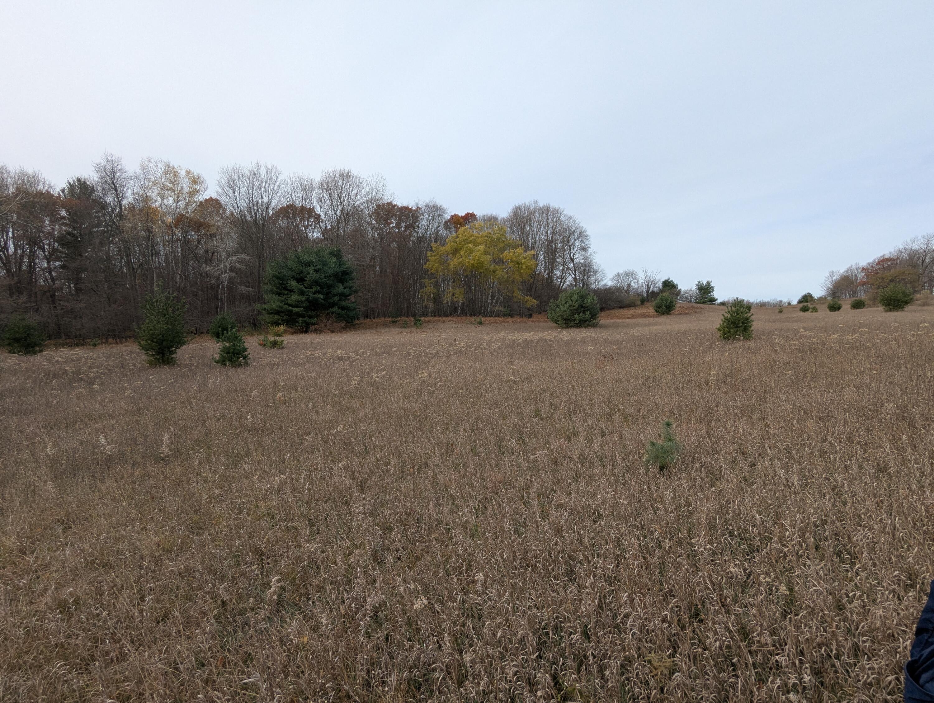 1103 North Frank Smith Road Luther, MI 49656 - Photo 4 of 19 PXL_20251106_172541987