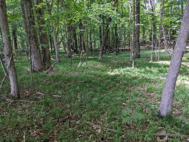 $760,000 | 1103 North Frank Smith Road, Luther, MI 49656