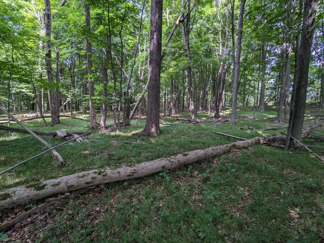 $760,000 | 1103 North Frank Smith Road, Luther, MI 49656