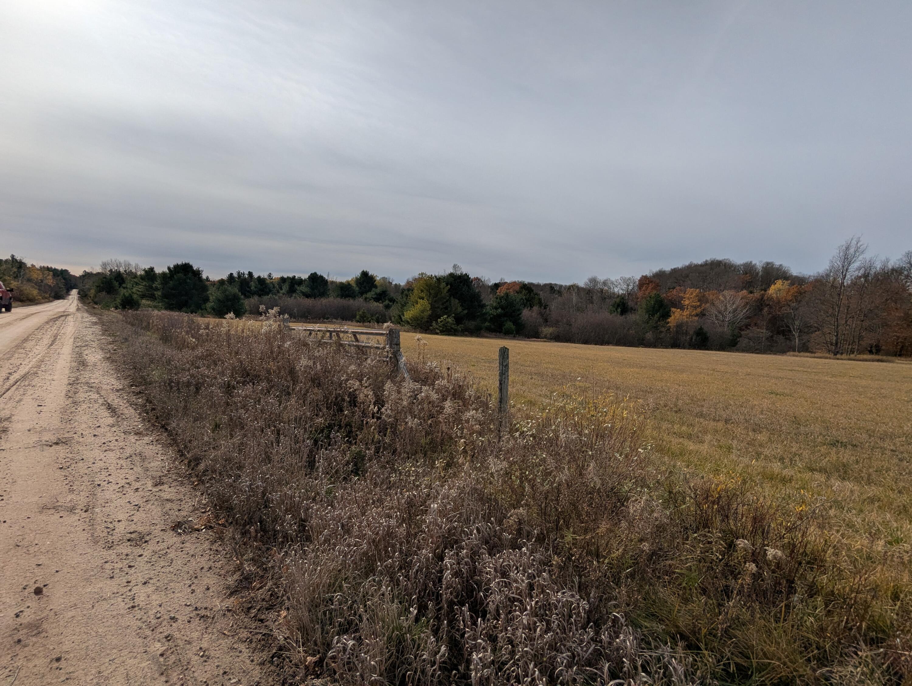 1103 North Frank Smith Road Luther, MI 49656 - Photo 8 of 19 PXL_20251106_171210771