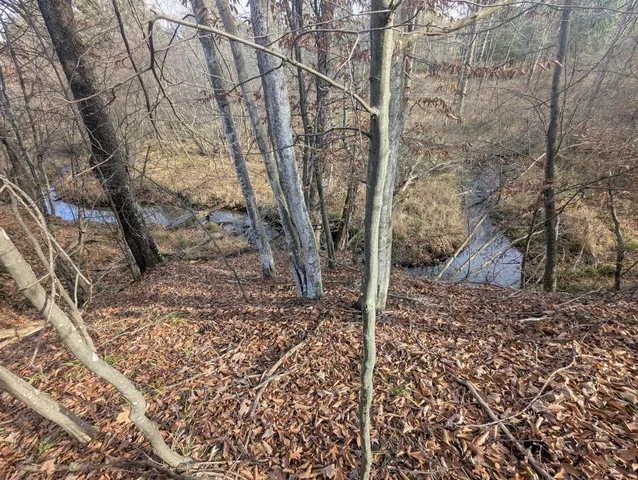 $760,000 | 1103 North Frank Smith Road, Luther, MI 49656