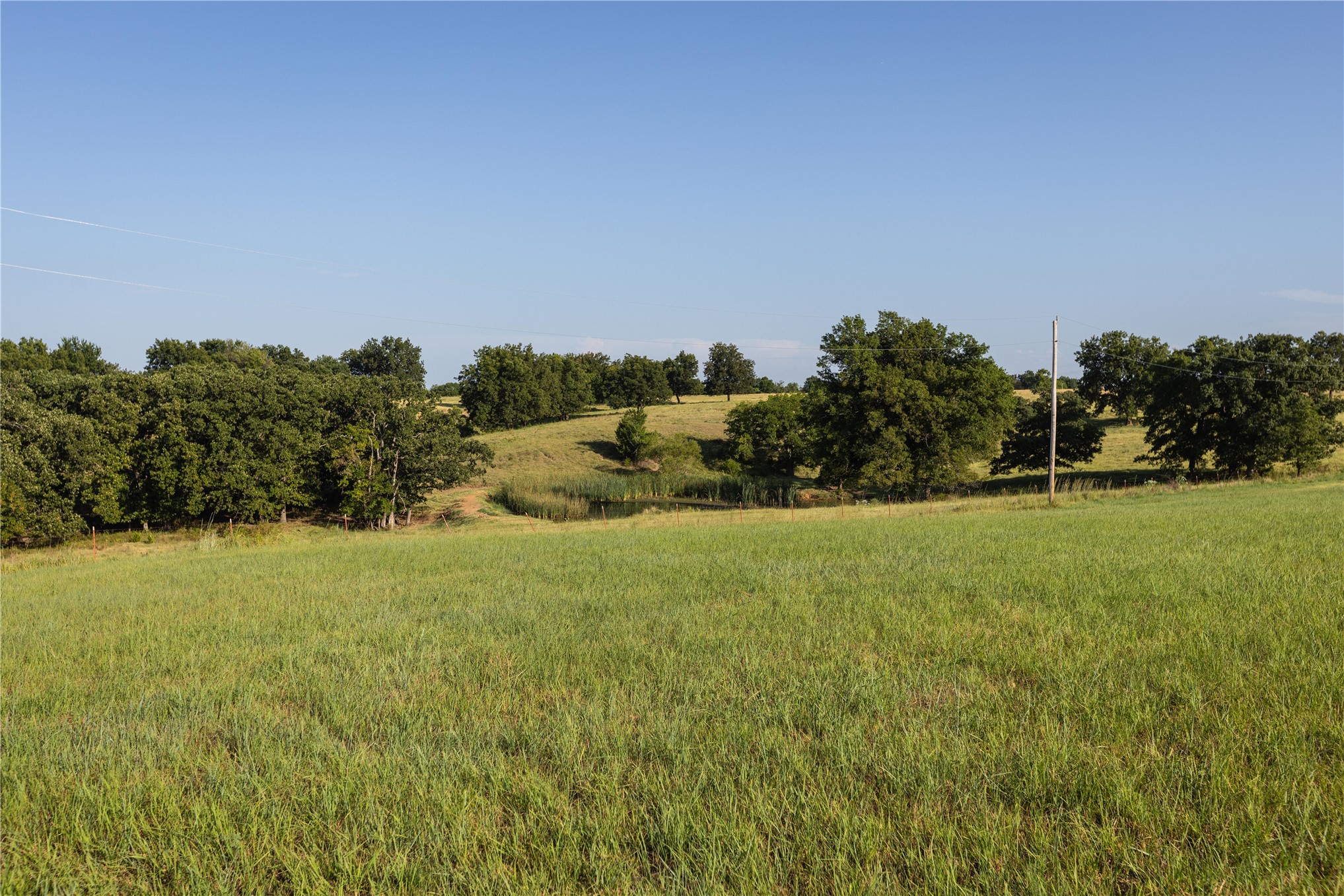 0 West Dunkin Road Cushing, OK 74023 - Photo 27 of 62 Expansive grassy terrain featuring scattered mature trees and a visible pond