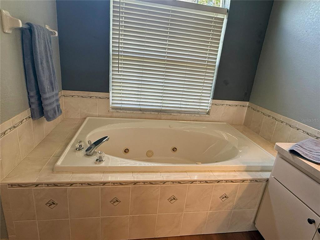 7552 River Country Drive Weeki Wachee, FL 34607 - Photo 35 of 59 a bathroom with a sink and a bathtub