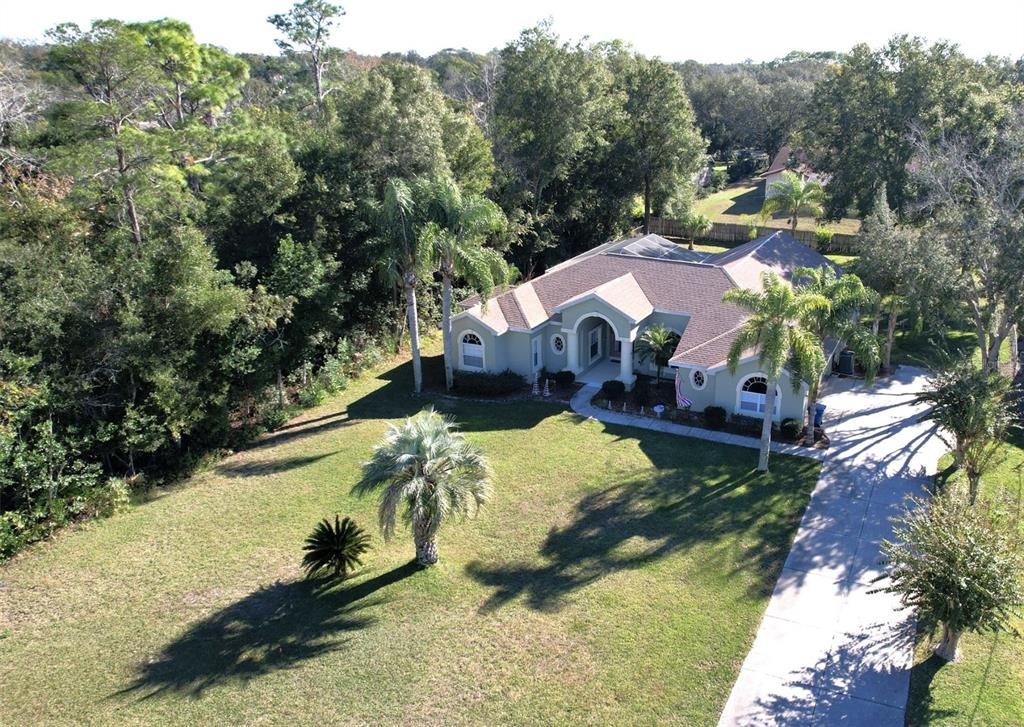 7552 River Country Drive Weeki Wachee, FL 34607 - Photo 4 of 59 a view of swimming pool with a yard