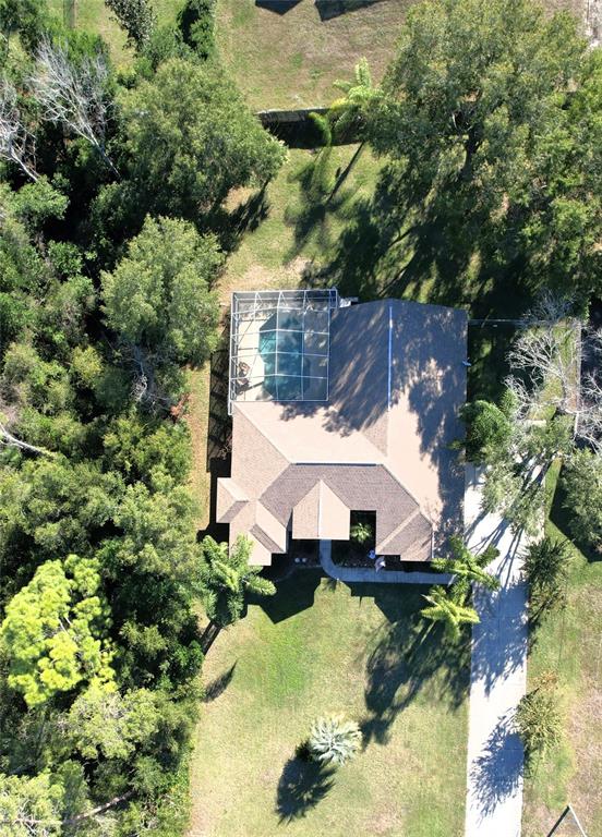 7552 River Country Drive Weeki Wachee, FL 34607 - Photo 7 of 59