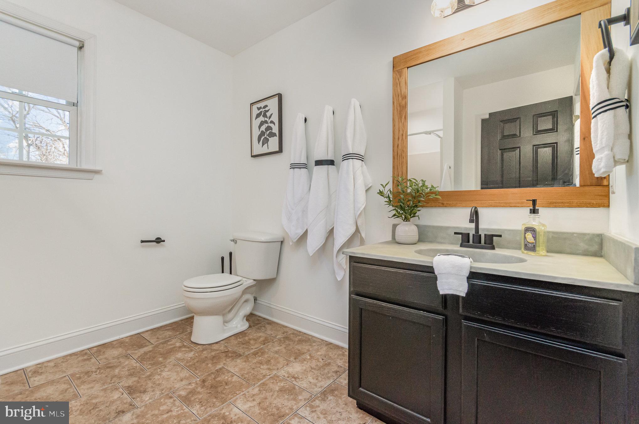149 Rome Drive Clear Brook, VA 22624 - Photo 19 of 36 a bathroom with a sink a toilet and mirror