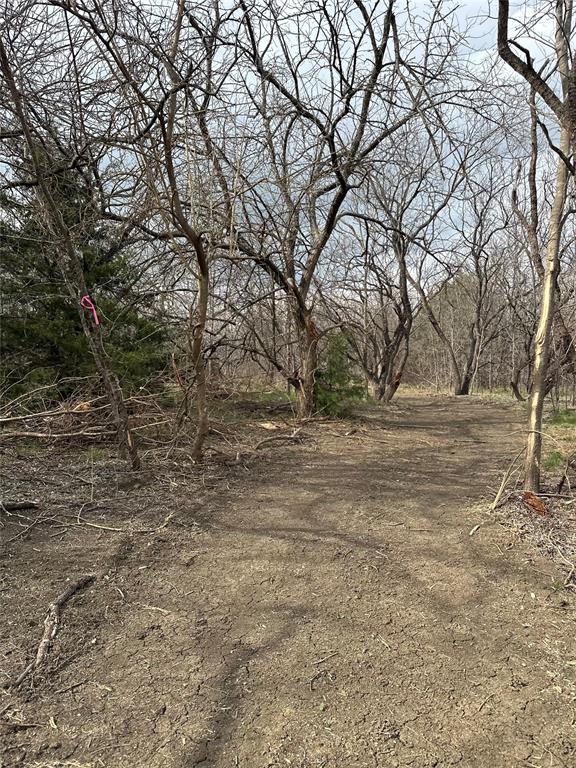0 Sandswitch Road Ennis, TX 75119 - Photo 14 of 31 a view of dirt yard with a tree