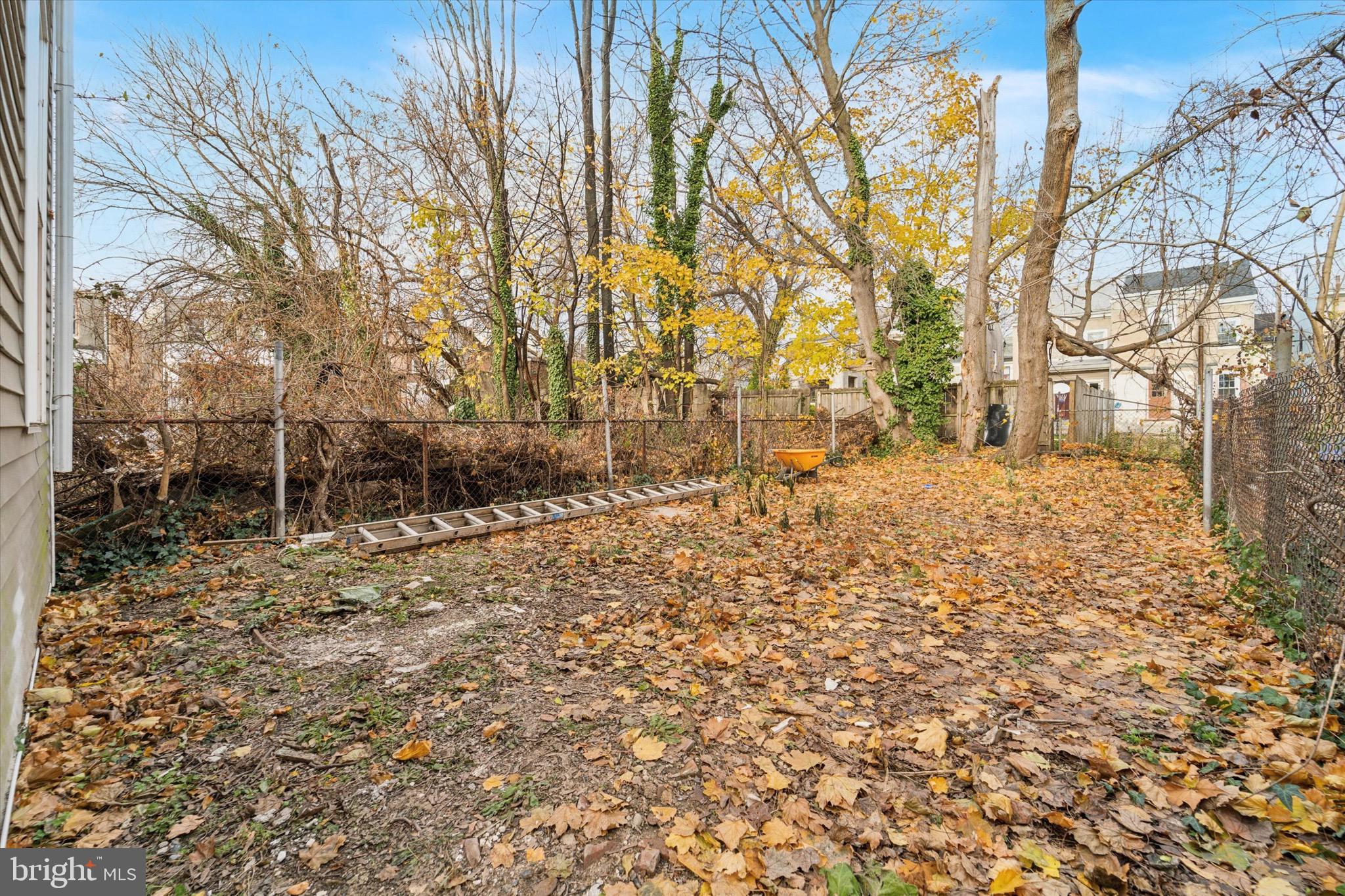 316 East 11th Street Chester, PA 19013 - Photo 28 of 28 a view of yard with trees