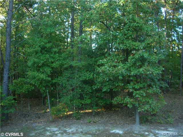 3900 Union Branch Road Petersburg, VA 23805 - Photo 12 of 12 View - Looking off of back deck. Private wooded vi