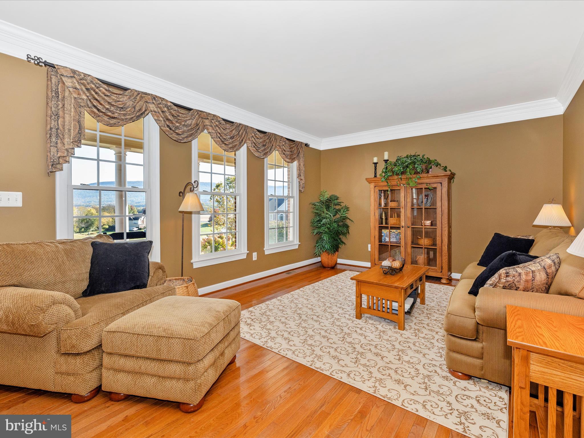 20615 Wilderness Run Road Boonsboro, MD 21713 - Photo 3 of 80 Living Room