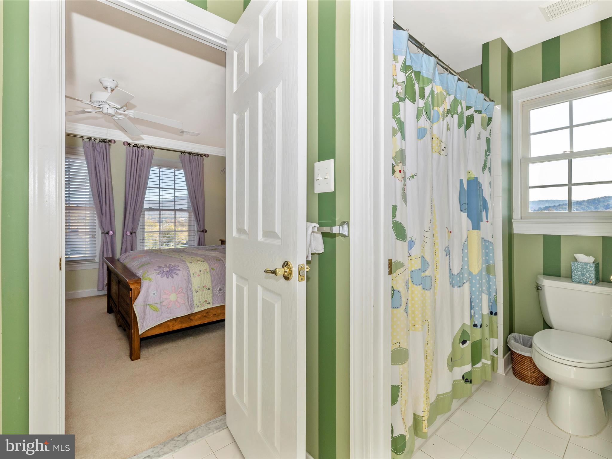 20615 Wilderness Run Road Boonsboro, MD 21713 - Photo 31 of 80 Bathroom 3