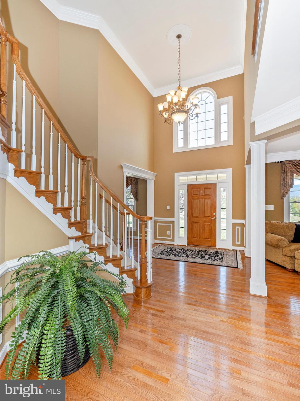 20615 Wilderness Run Road Boonsboro, MD 21713 - Photo 4 of 80 Foyer