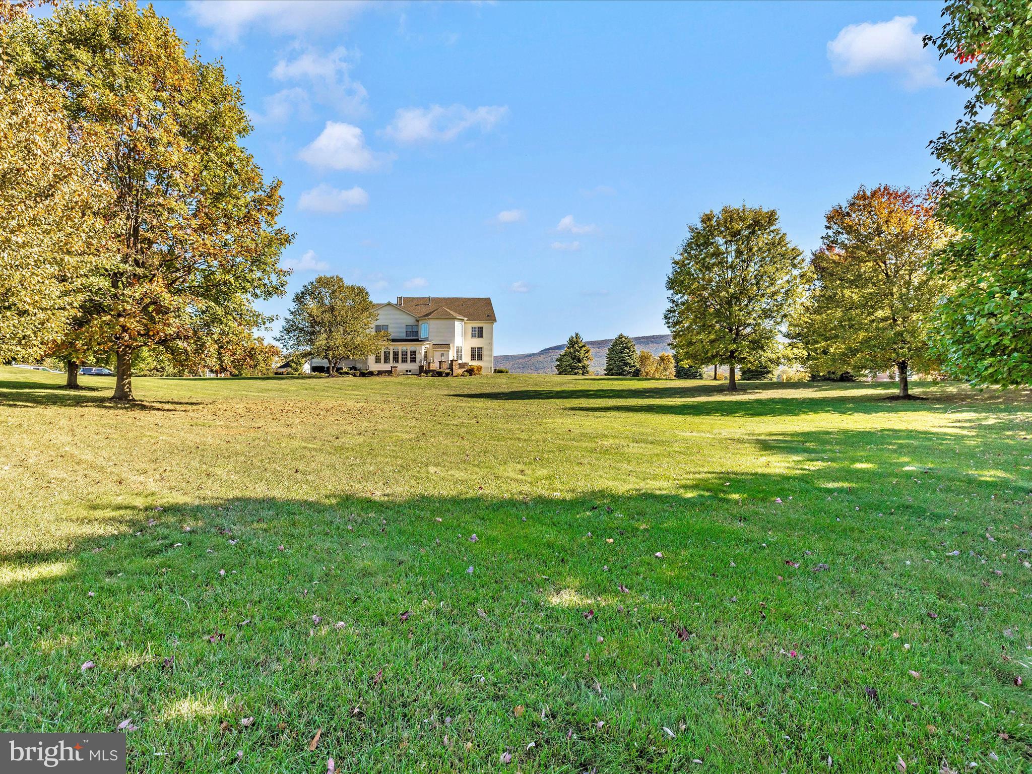 20615 Wilderness Run Road Boonsboro, MD 21713 - Photo 51 of 80 Exterior Back