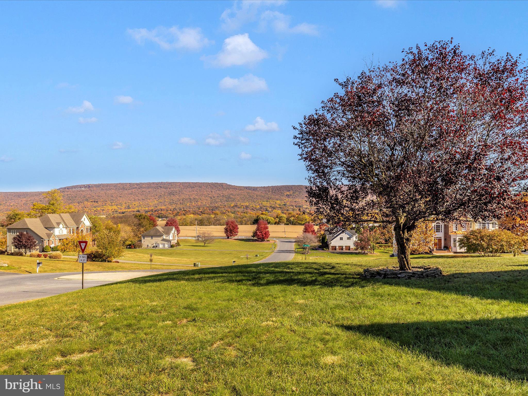 20615 Wilderness Run Road Boonsboro, MD 21713 - Photo 59 of 80 View