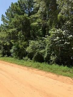 1 Clarks Bridge Road Stapleton, GA 30823 - Photo 1 of 2 Main View