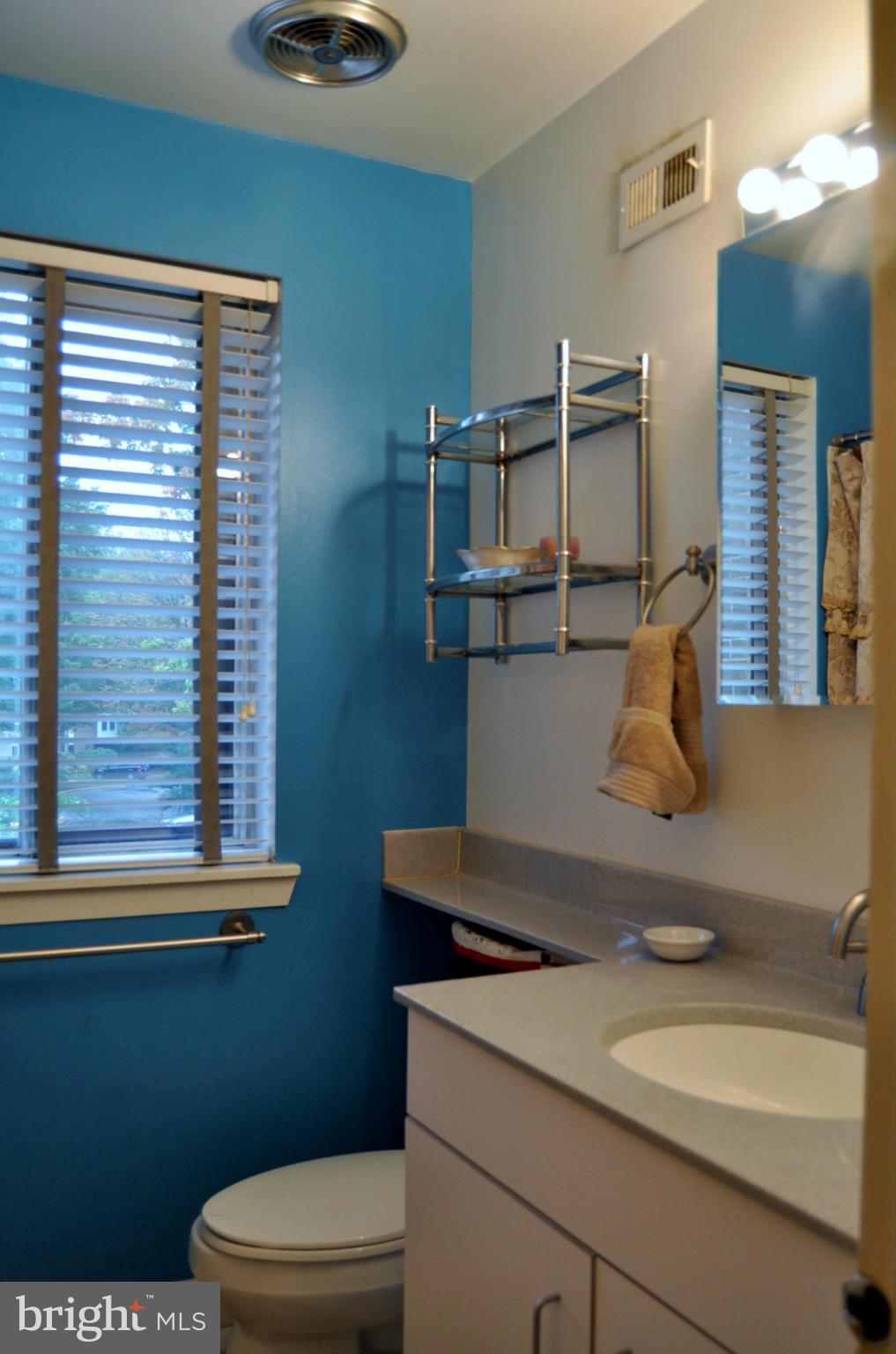 11057 Saffold Way Reston, VA 20190 - Photo 20 of 30 Master Bath is Full Bath