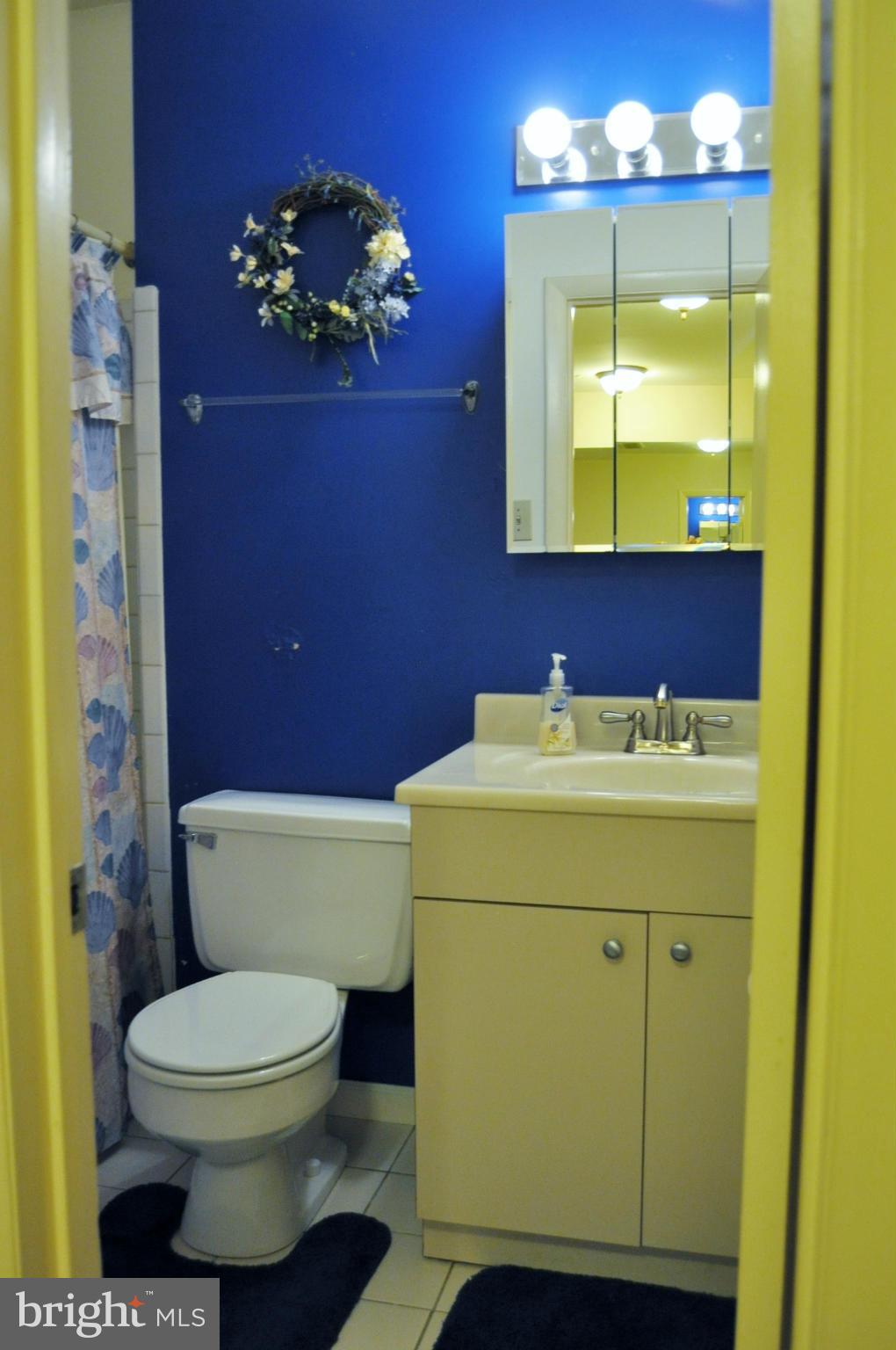 11057 Saffold Way Reston, VA 20190 - Photo 23 of 30 Upstairs Hall Bath