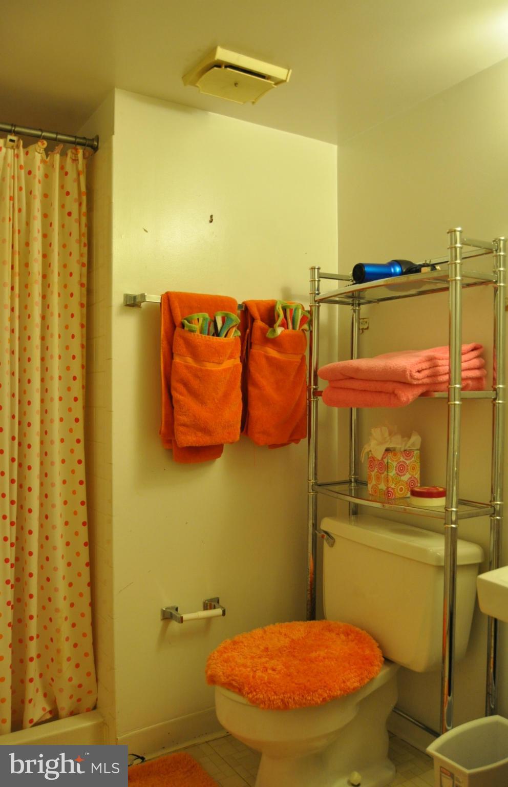 11057 Saffold Way Reston, VA 20190 - Photo 27 of 30 Third Bath in Lower Level has Shower