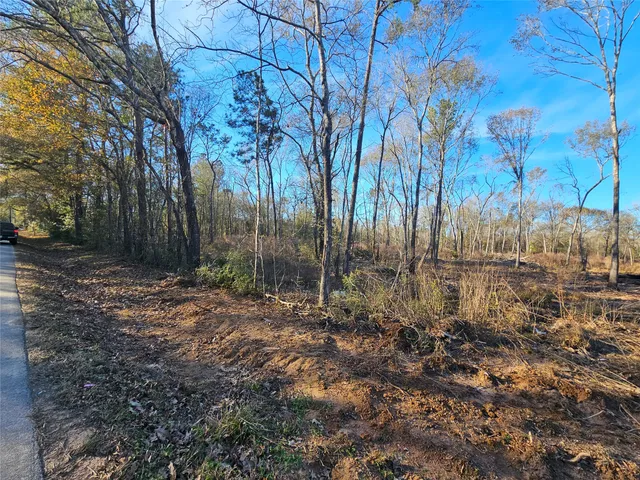 a view of backyard with green space