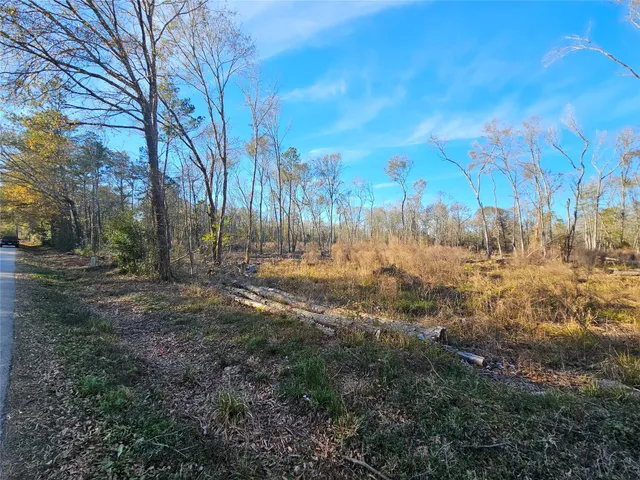 a view of large yard