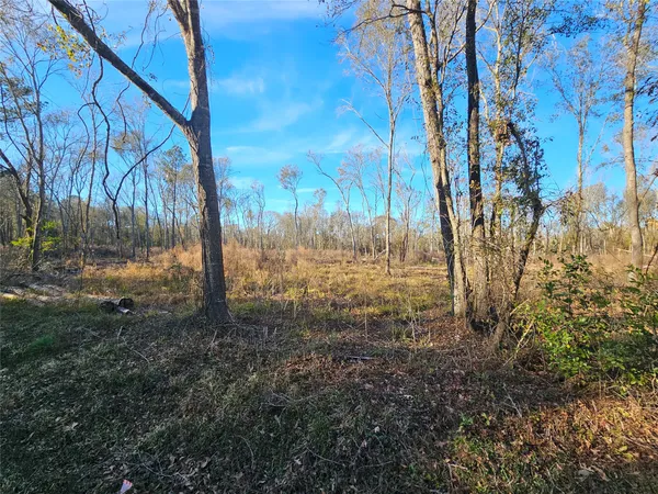 a view of a backyard of the house