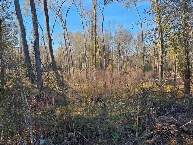 a view of a yard with trees