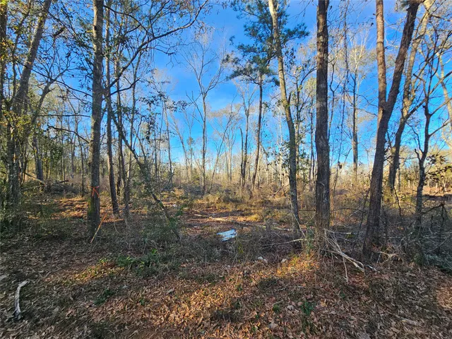 a view of backyard with green space