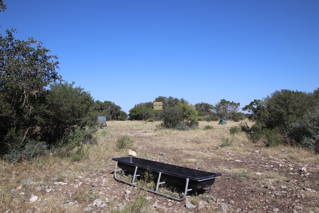 3618 Sd 52100 Rocksprings, TX 78880 - Photo 83 of 88