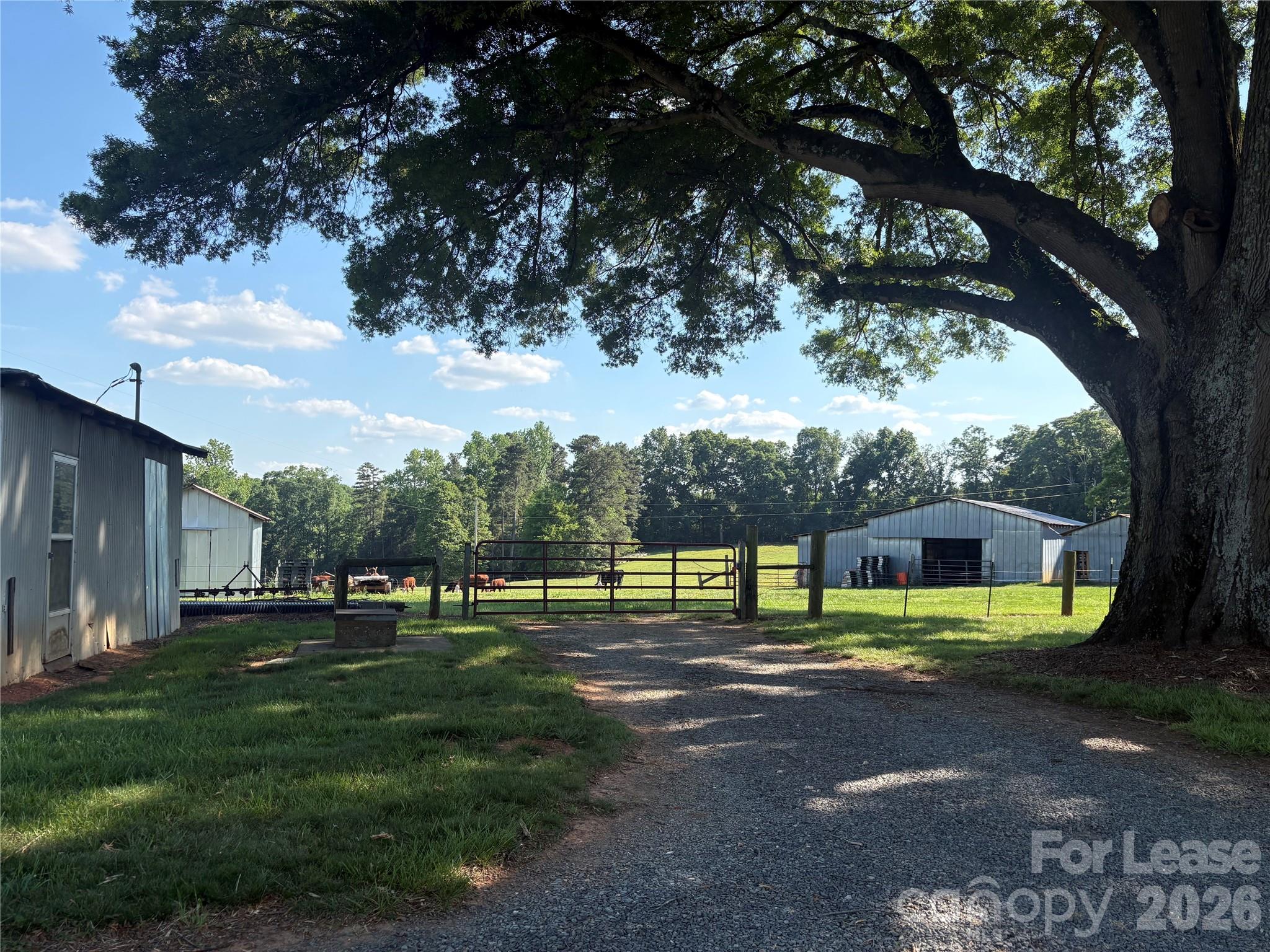 6625 Long Road Matthews, NC 28104 - Photo 18 of 21 a view of a park with large trees