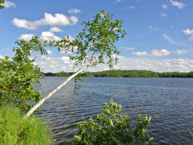 Lot 4 Little Bearskin Road Harshaw, WI 54529 - Photo 3 of 19 Gallery Image 3