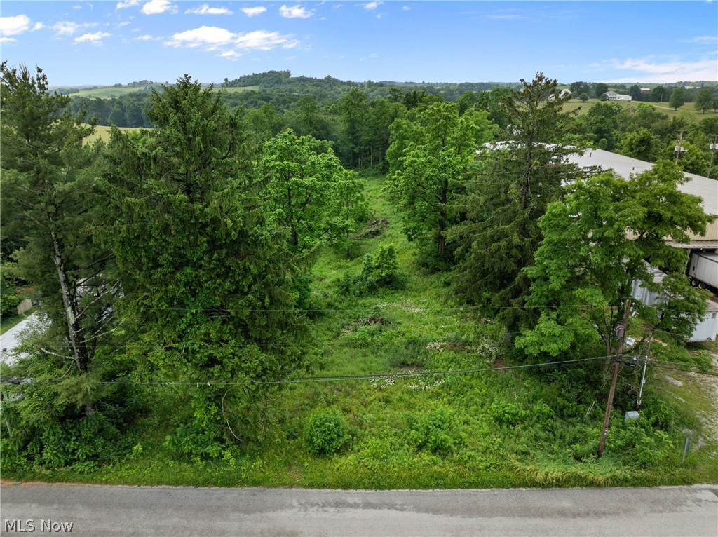 41310 Brown Road Bethesda, OH 43719 - Photo 2 of 10