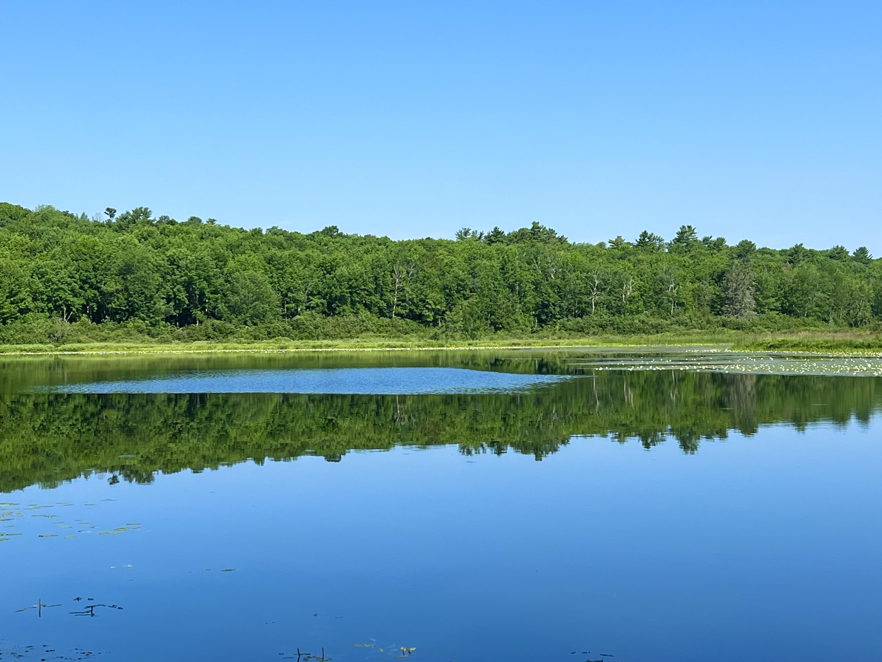 -lowerfal Lower Falls Road Orland, ME 04472 - Photo 1 of 11 IMG_8681