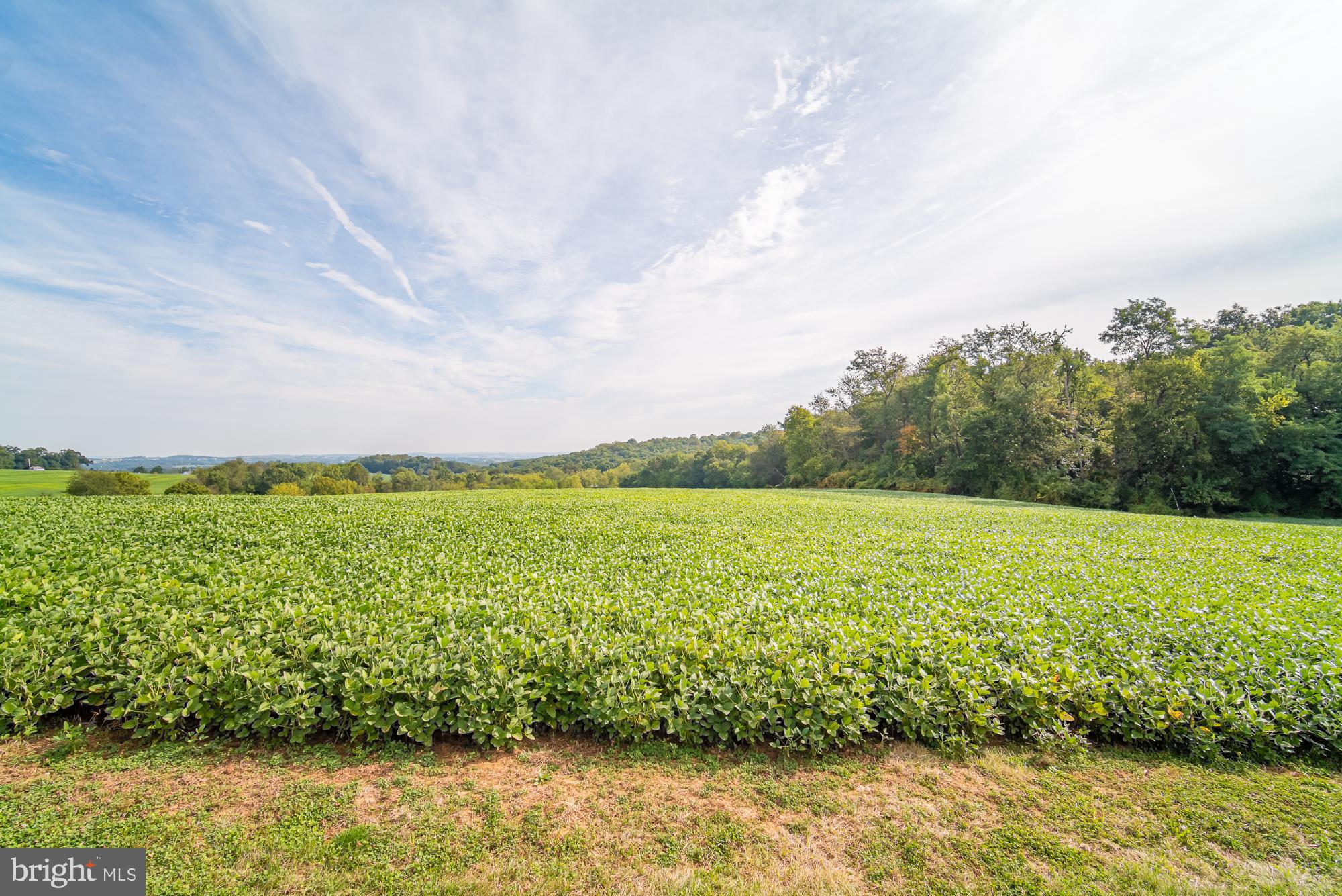 1398 Manor Road Windsor, PA 17366 - Photo 34 of 39 Lush green fields under a serene sky.