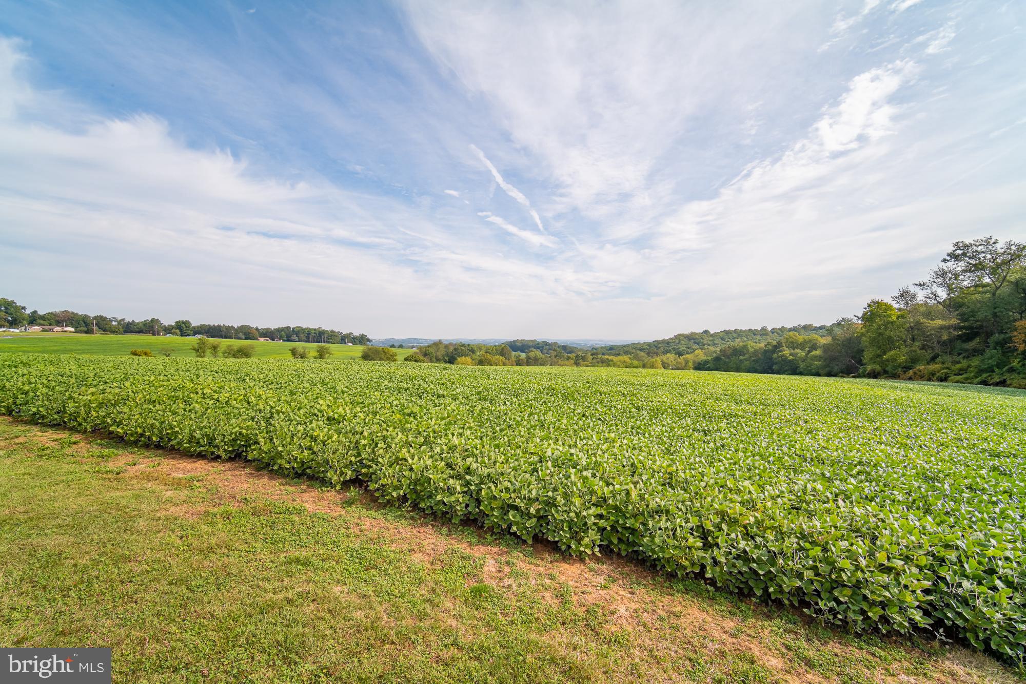 1398 Manor Road Windsor, PA 17366 - Photo 5 of 39 Vast green fields under a serene sky.