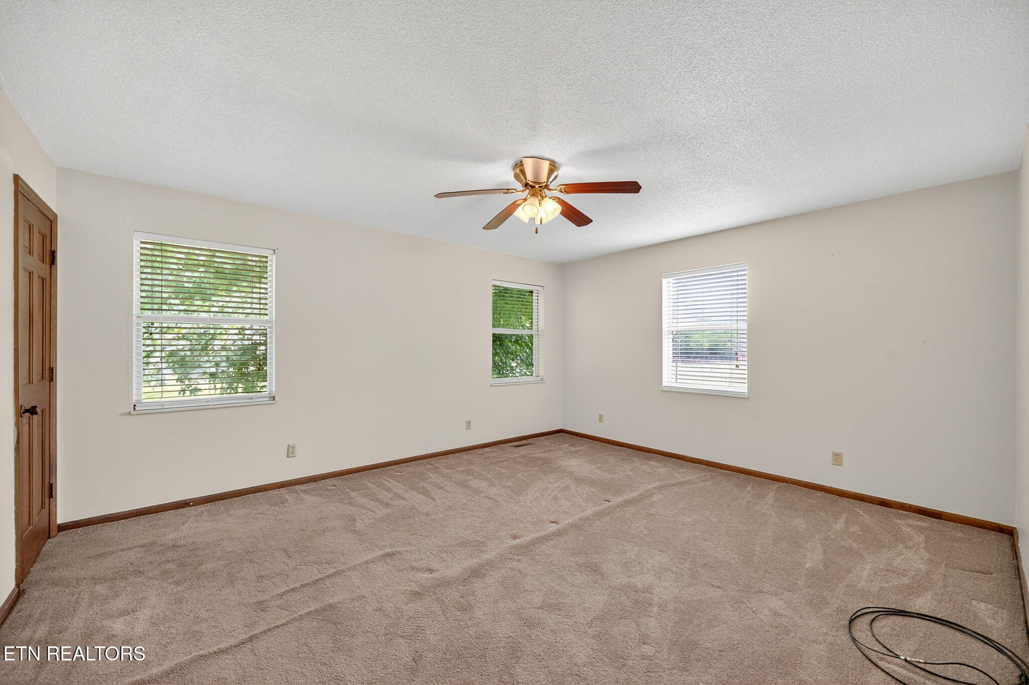 330 Hutsell Drive Decatur, TN 37322 - Photo 12 of 35 an empty room with windows and ceiling fan