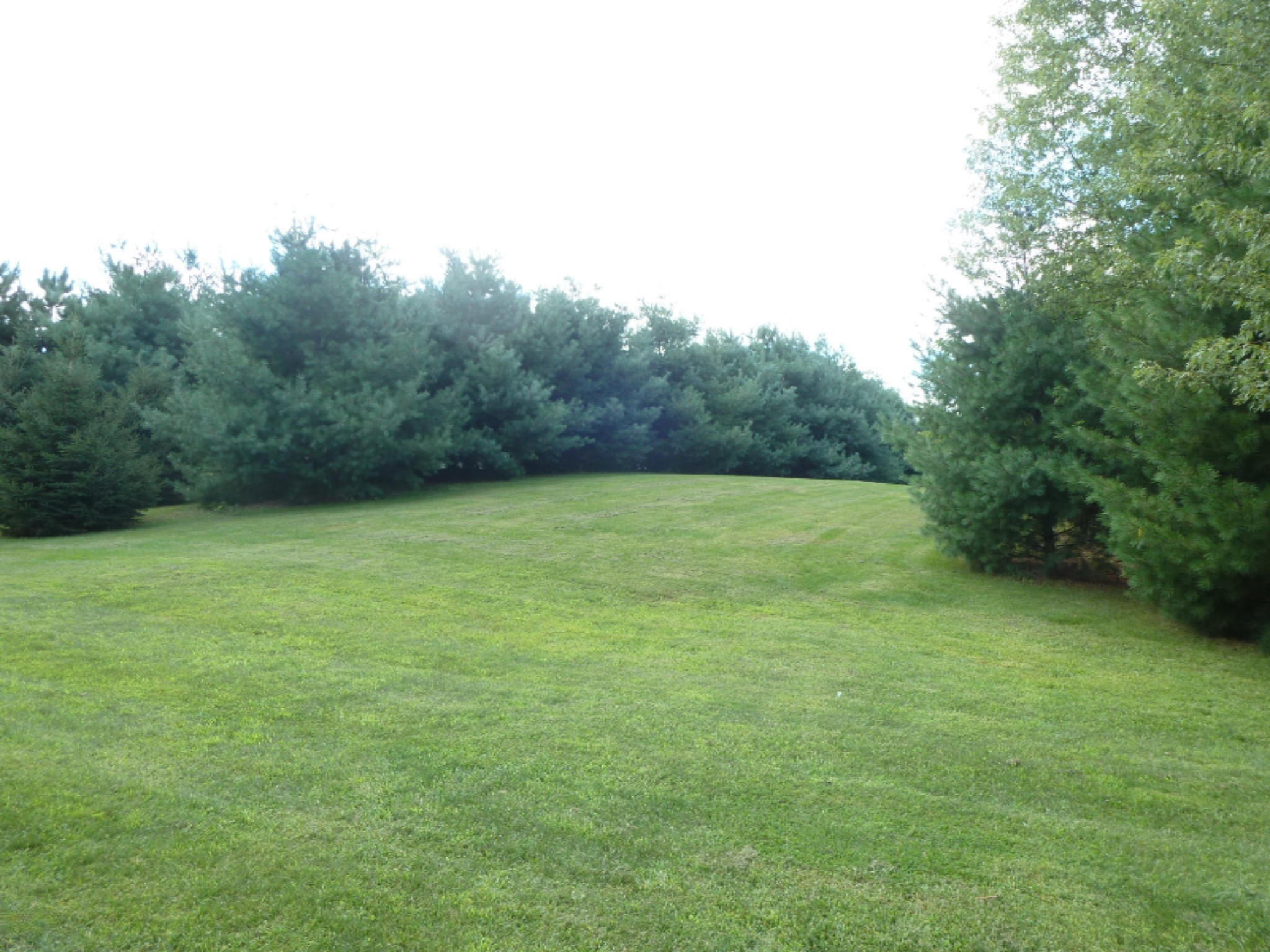 28979 Kelly Road Sturgis, MI 49091 - Photo 59 of 70 082