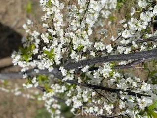 $790,000 | 7908 Zona Court, Riverside, CA 92507