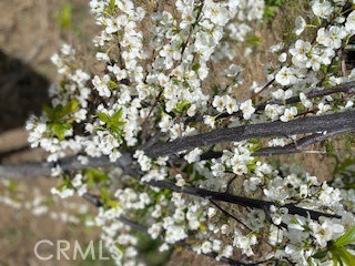 7908 Zona Court Riverside, CA 92507 - Photo 42 of 53