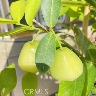 7908 Zona Court Riverside, CA 92507 - Photo 43 of 53