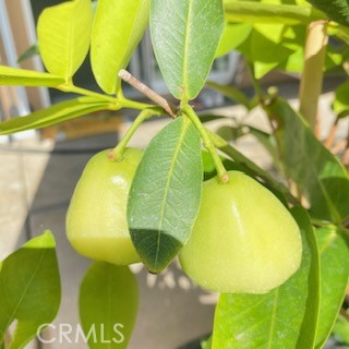 7908 Zona Court Riverside, CA 92507 - Photo 47 of 64